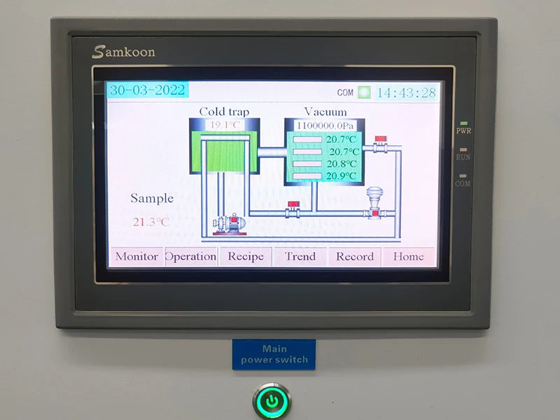 Hot Sales Vacuum Freeeze Dryer Strawberry Cucumber Kiwi Durian 50kg Freeze Dryer