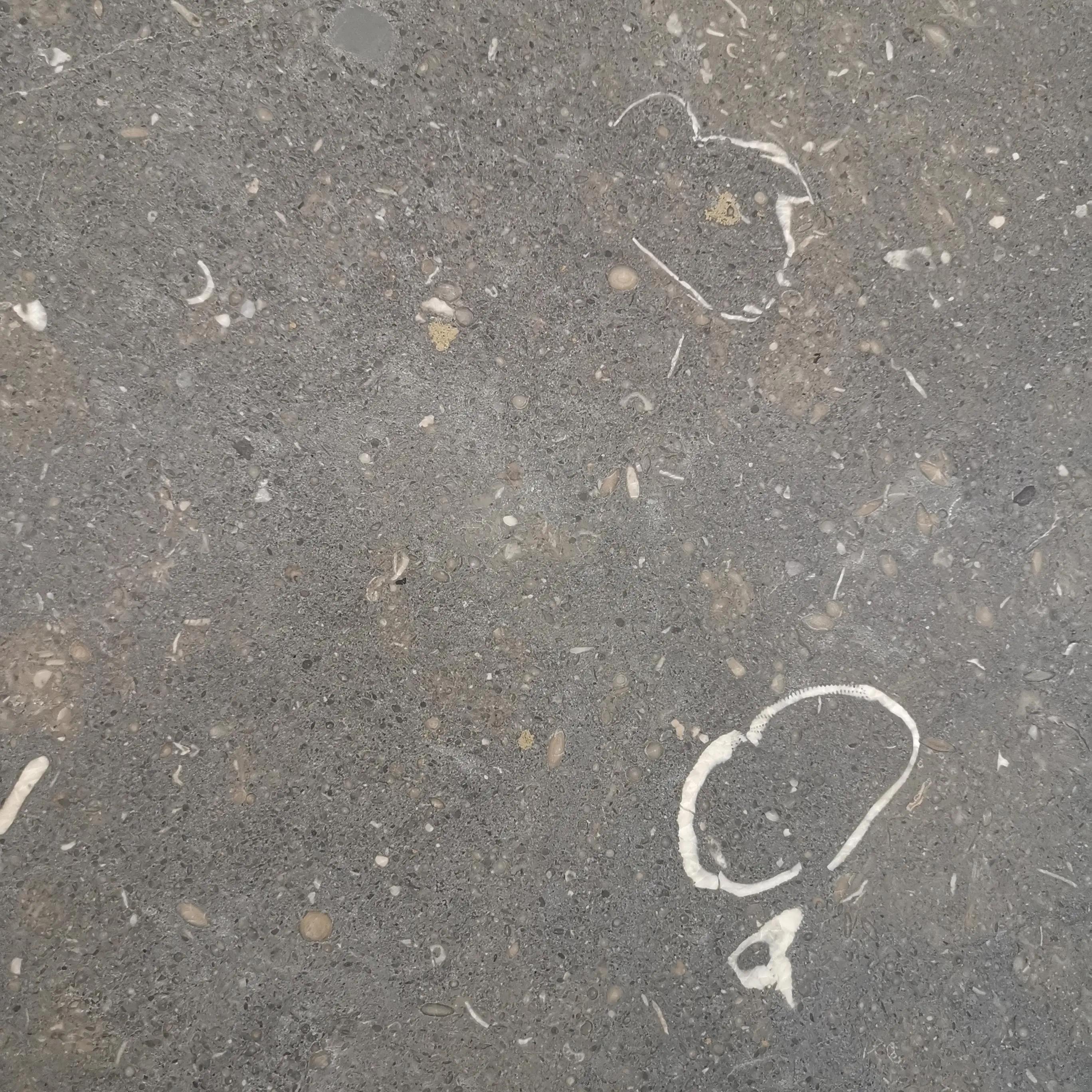 product paiastone high quality grey limestone slab modern design style brushed tile villa exterior outdoor floor paving honed split-3