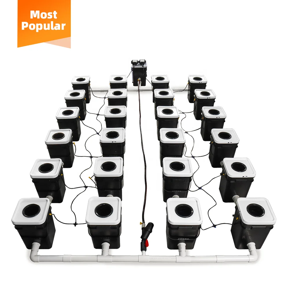 Sunplus Rdwc Automatic Garden Irrigation System Dwc Hydroponic Bubble 5 Gallon Dutch Bucket for Greenhouse