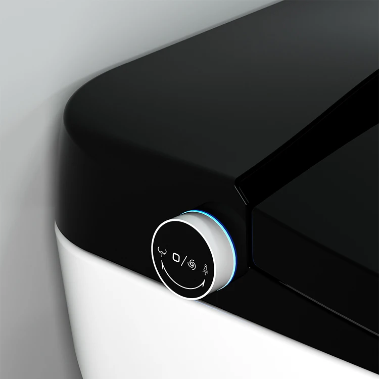 220v Japan One Piece Wc Self Cleaning Full Automatic Flush Sensor