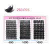 60D+100D+160D   60D+100D+160D   60D+100D+160D
