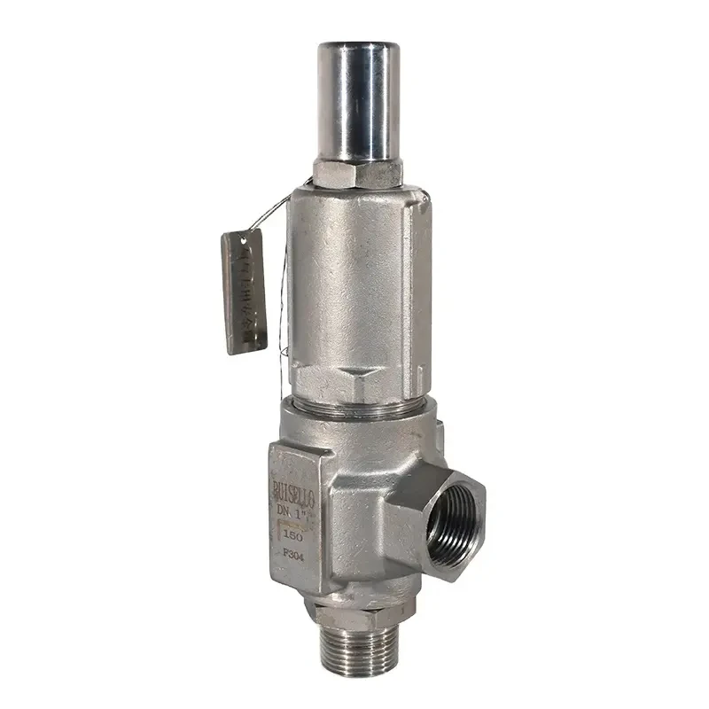 High Pressure 35MPA Hydrogen Energy Applications Control Valve Air Ammonia Gas Pressure Regulator OEM CF8 Safety Valve