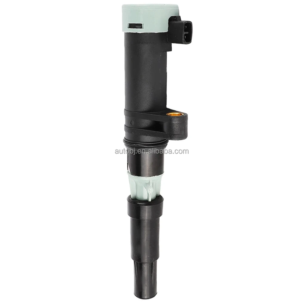 224332428R 7700875000 High Performance Ignition Coil for Bobina Encendido Renault Clio AVANTIME CLIO ESPACE GRAND SCENIC Rod Module