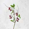 branche rouge