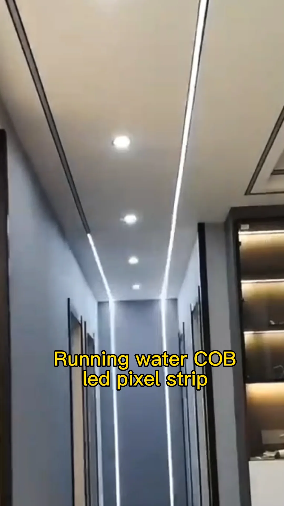 Cob Horse Race Running Led Strip 24v Rgbic Led Cob Water Running Fr