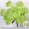Green Two-Headed Angel Hydrangea