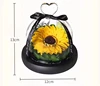 Preserved Sunflower