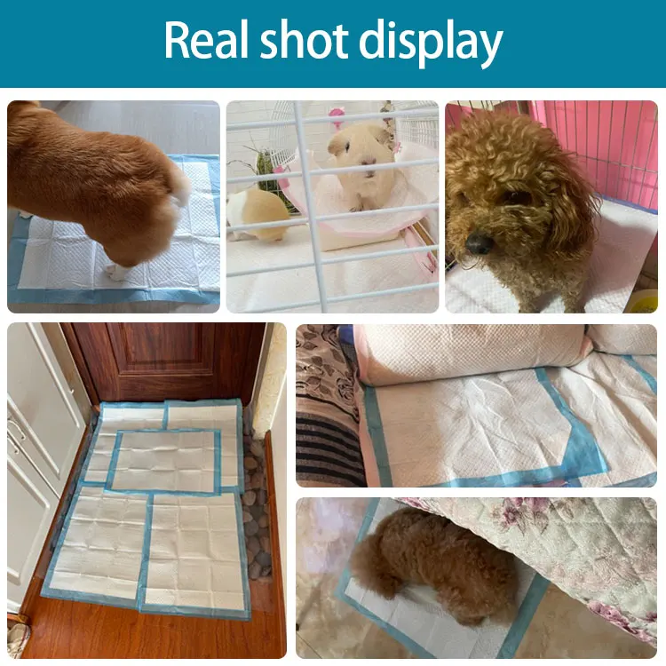 Wholesale Dog And Puppy Pads Leakproof 5layer Dog Training Pads Eco Friendly Disposable Pet