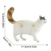 3660 gato somalí-1082g