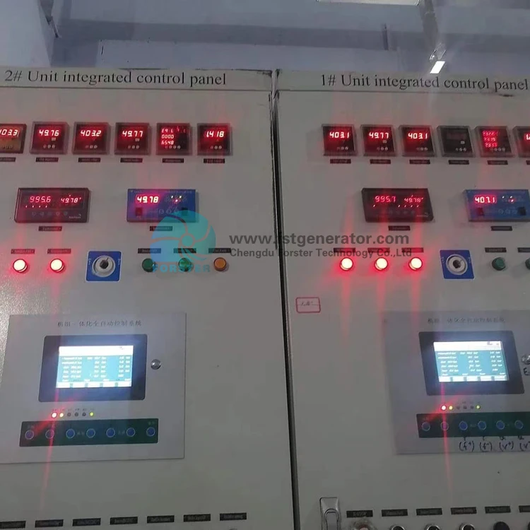 2MW Pelton Hydro Generator with 10m Alternator Wheel Water Turbine for Sale