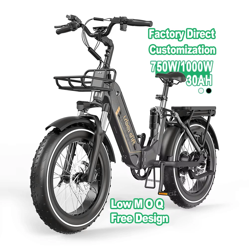 Spectacular Customizable 1000w 30ah Electric City E-Bike with Fat Tire, Folding 20-inch Frame – Mountain Bike for Adults from Factory Direct Spectacular Customizable 1000w 30ah Electric City E-Bike with Fat Tire, Folding 20-inch Frame – Mountain Bike for Adults from Factory Direct
