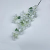 #6 fiori di bouganville bianchi