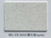 ML-CS-2610