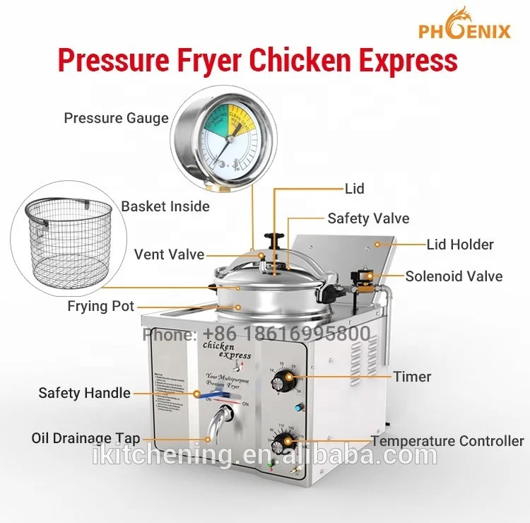 Chicken Pressure Fryer, 16L Chicken Fish Pressure Fryer Machine, 3000W  Tabletop Restaurant Kitchen Frying Machine with Automatic Power-off  Functions