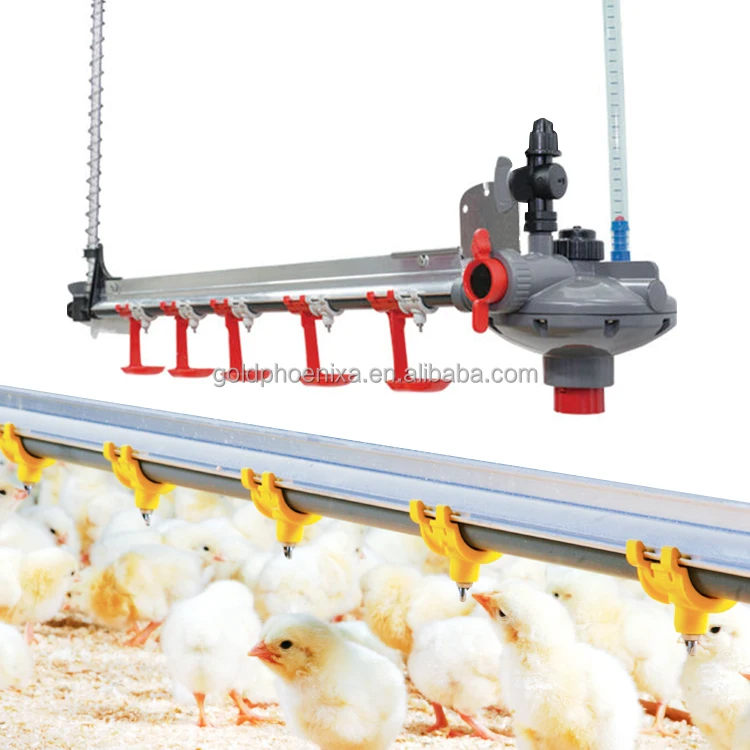 QA Complete Set Poultry Farm Automatic Drinking System Plasson Nipple Drinker Line for Chicken House