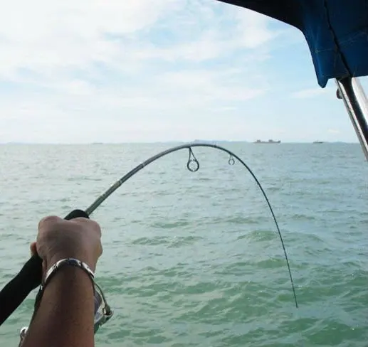 CRONY Galaxy Popular Standard Design 2 Section Seawater Freshwater Long Casting Canna Da Pesca Spinning Fishing Rod