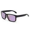 SABLE NOIR / VIOLET