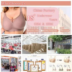 Shantou Bellfenny Garments Co., Ltd. OEM/ODM Women's Seamless Bra Panty Bodysuit Bikini Thongs Nursing Bra Vest Underwear