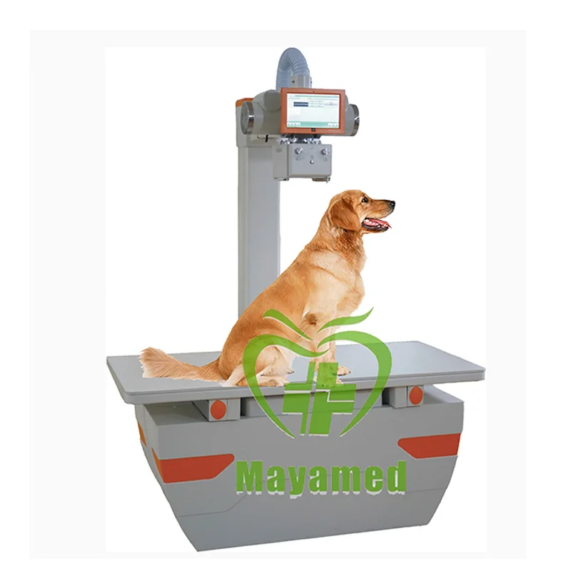 Mesin Xray Dokter Hewan Peralatan Radiografi Digital Sistem Radiografi Equine Panel X Ray Harga Rumah Sakit Buy Hewan Xay Digital Dr Digitizer Industiral Komputer Radiographie Mesin Portabel Trolley Veterinario Radiografia Appareil Digital Piring