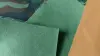 Menthe