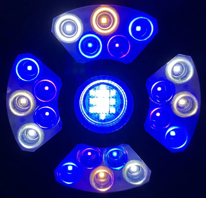 Ctlite 100 Watt Coral Reef Led Saltwater Aquarium Light Full Spectrum 5