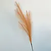 Arancione