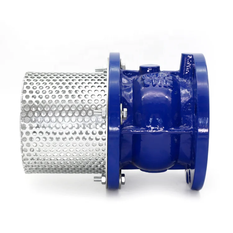 Ductile Iron Iso Standard Flange Type 6" Diameter Foot Valve