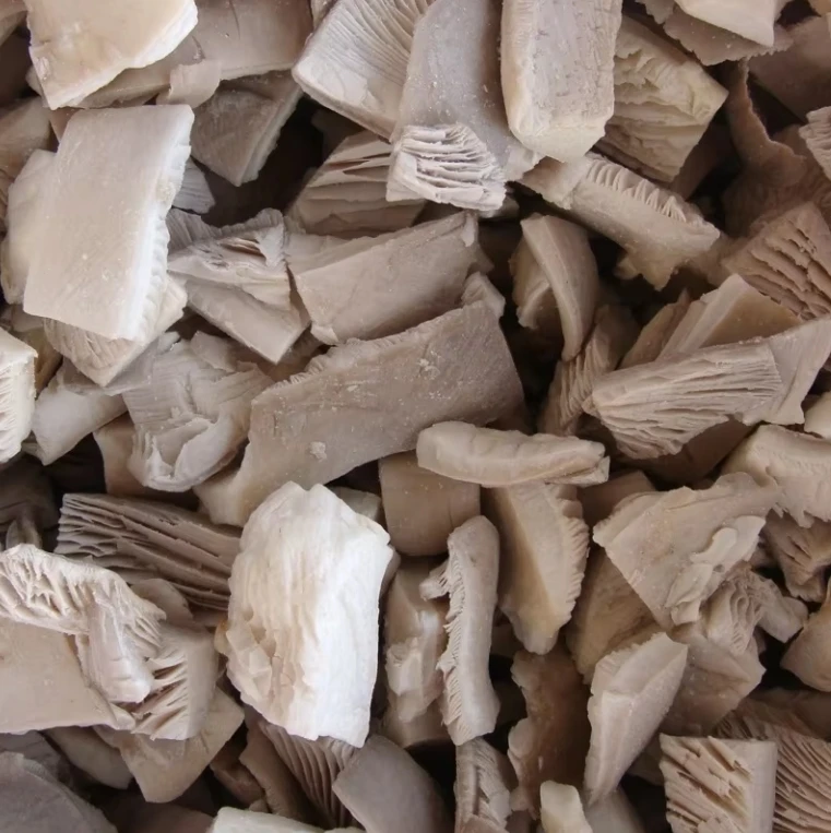 2025 China Supplier Export IQF Vegetables Frozen oyster Mushroom With Good Price