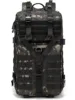Black  CP