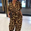 Leopardo kaki