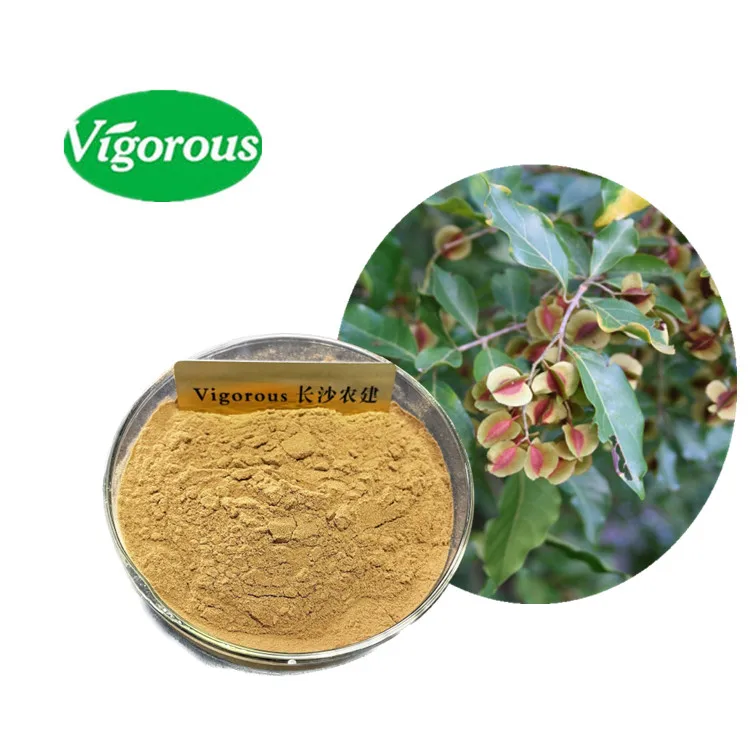 Free Sample Kinkeliba Combretum Leaf Powder Organic Combretum Micranthum Extract for Health