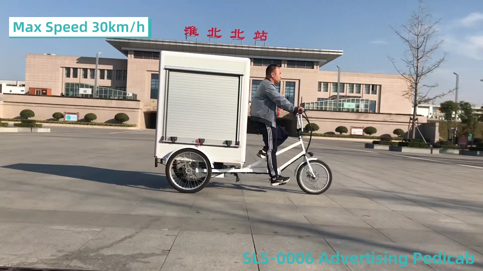 New Cargo Mini Van Bike Three Wheels Electric Cargo Bike With Rear