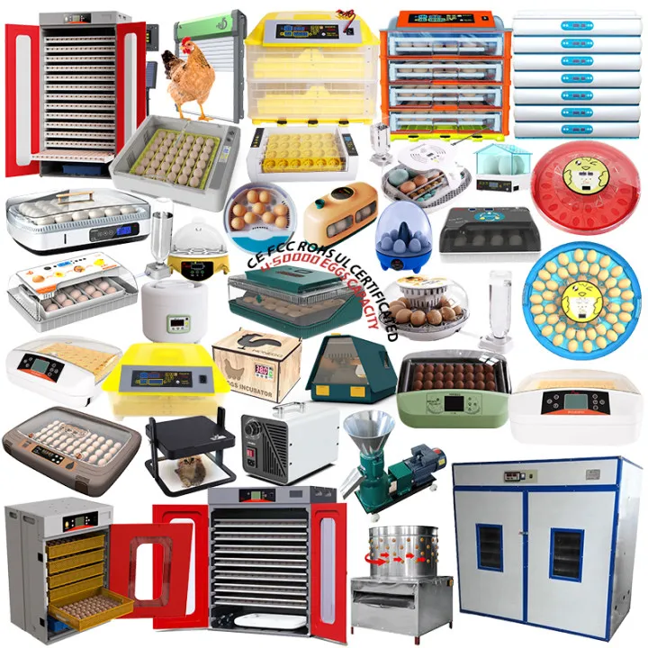 HHD High Quality for 1000 Egg Solar Incubator for Hatching Eggs