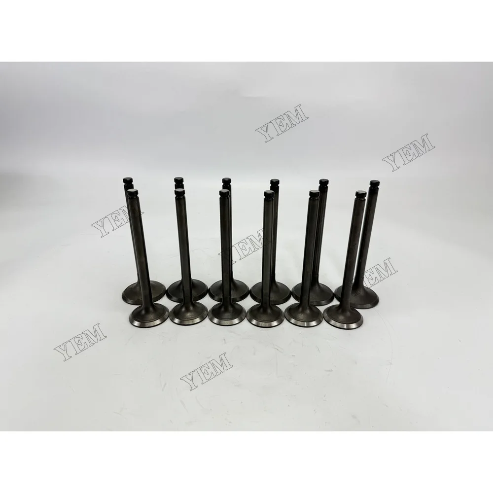 For Nissan NE6 Intake and Exhaust Valve Diesel Engine Parts 2