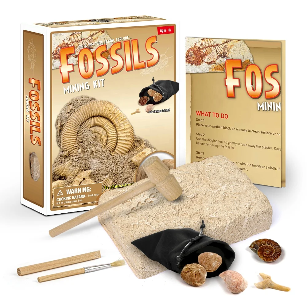 2021 Популярная игрушка «Diy» копать и находить подлинные окаменелости набор для выкапывания окаменелостей продажи CPC