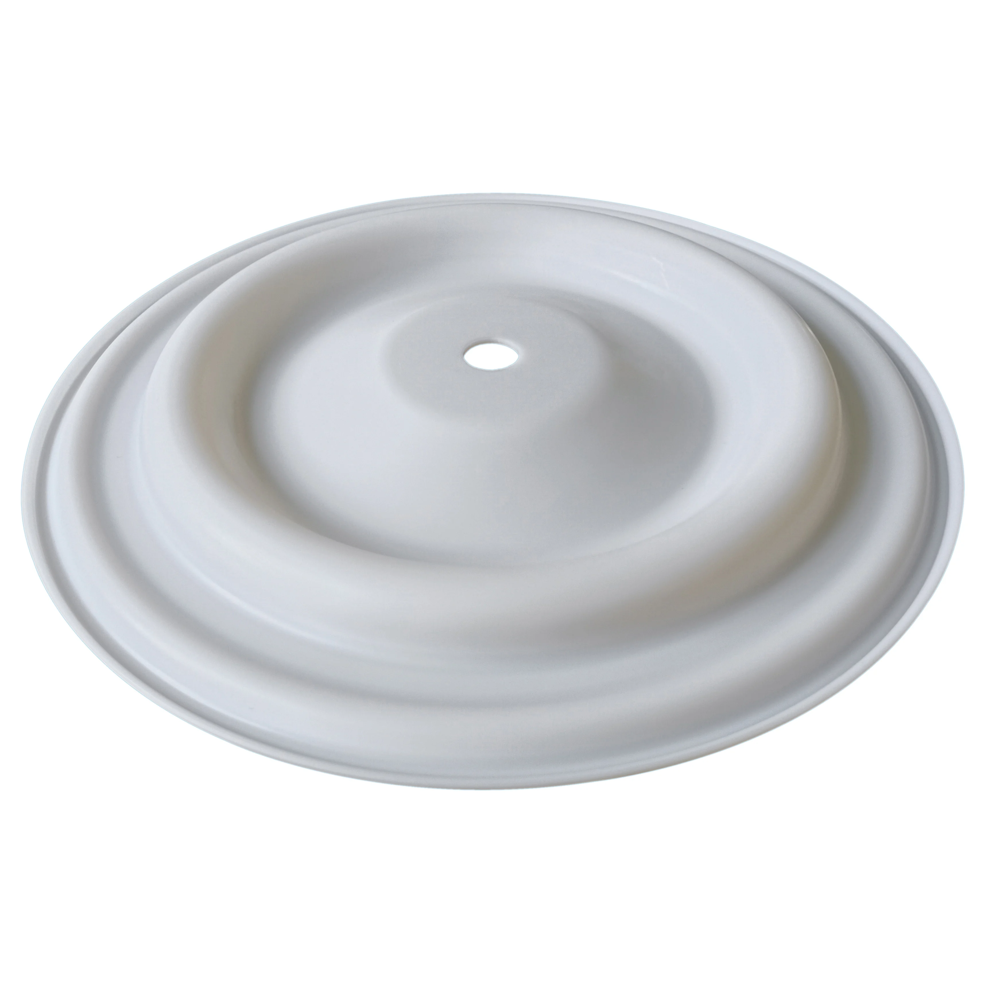 CF02-1040-55 Diaphragm