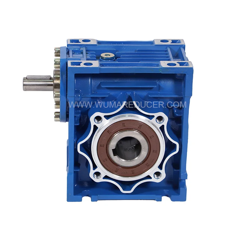 Double Shaft Worm Gearbox 12vt AC Electric Motor Reducer Conveyor Belt Gear Worm Gearbox