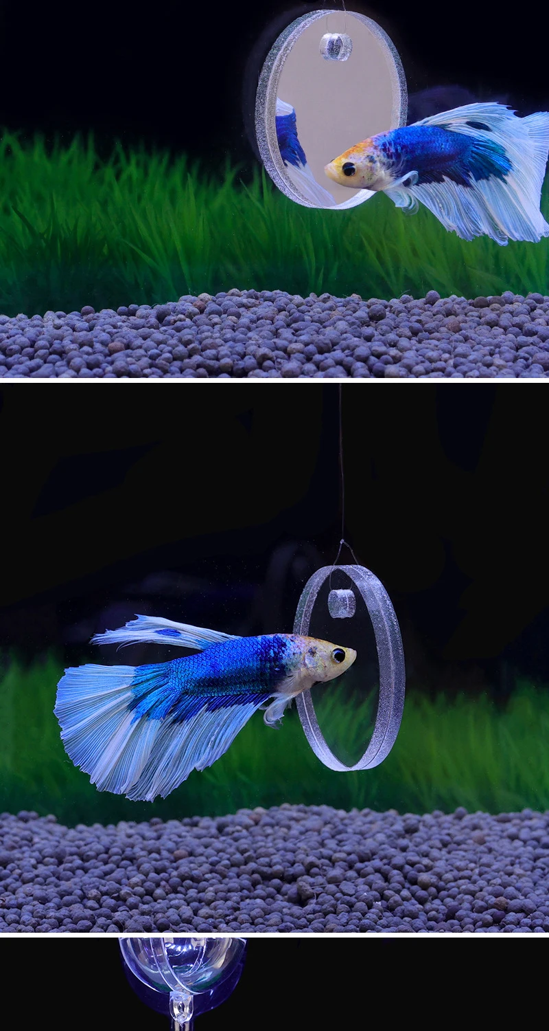 Acrylic Betta Training Mirror Floating Ball Doublesided Mirror Suction
