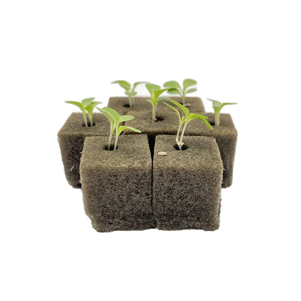 Hydroponic Growing Medium Foam Cubes for Hydroponics DIY, image size:999x999