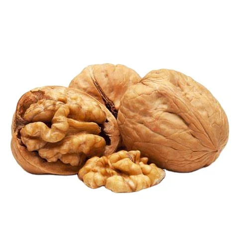 wholesale dry walnut fruits raw 185 thin skin walnut in shell 32mm