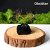 Obsidiana
