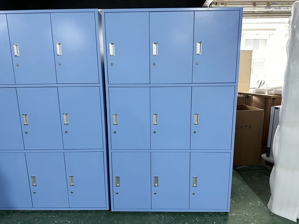 School Medical Lab Laboratory Furniture Wardrobe Steel Cabinet Clothes Powder Coated Steel Storage Lockers