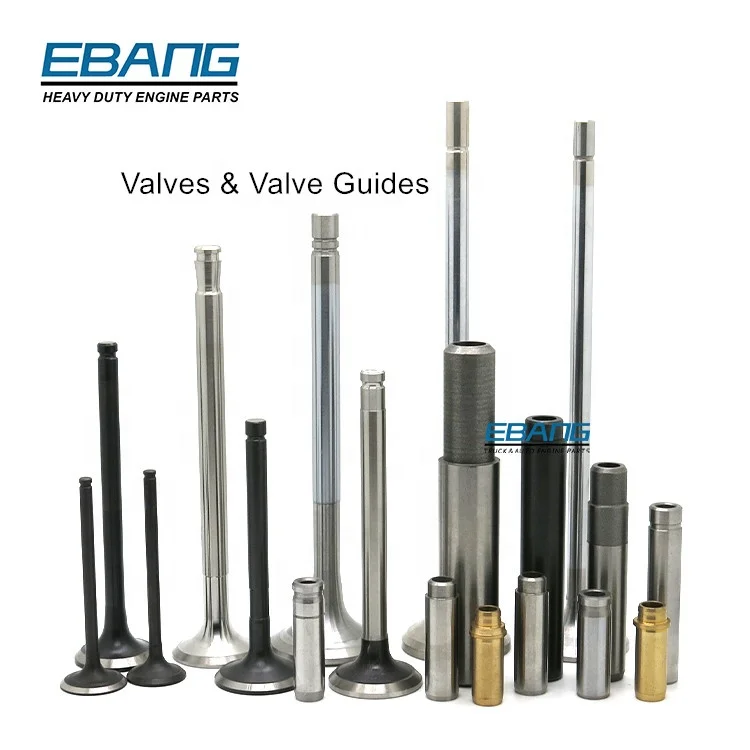 Engine Intake Valve Guide for Mercedes Benz OM364 OM366 OM352 Diesel Engine Spare Parts 3520531229