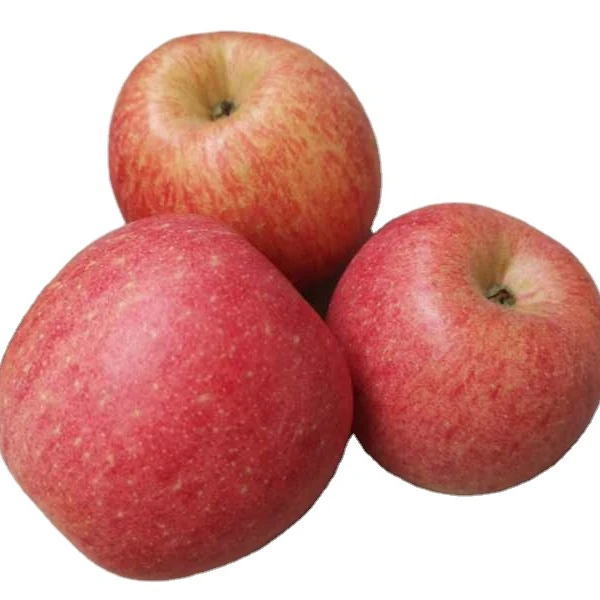 Chinese Best Wholesale Fresh fuji apple high Quality for Export