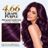 Grape Purple 4.66