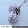 2-headed stupa hydrangea RHW light pink