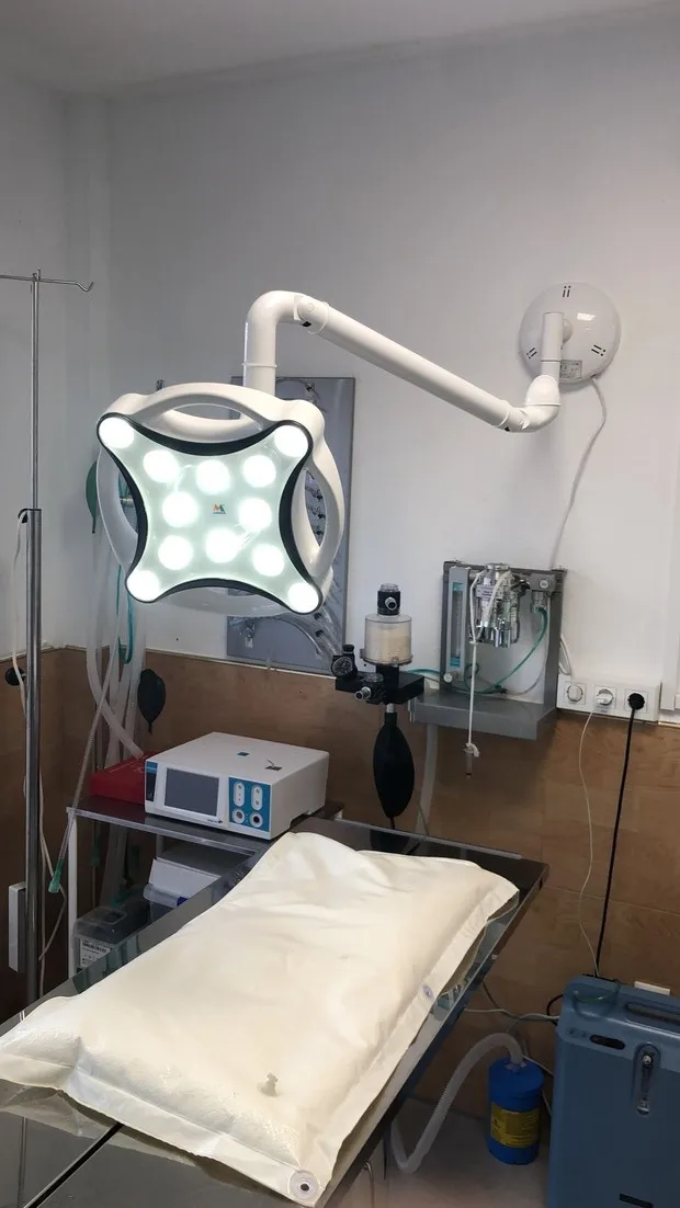 JD1700 LED Minor Double Ceiling Surgical Lamp OT Light Pets Surgery Light Operating Lamp for Veterinary Lamp