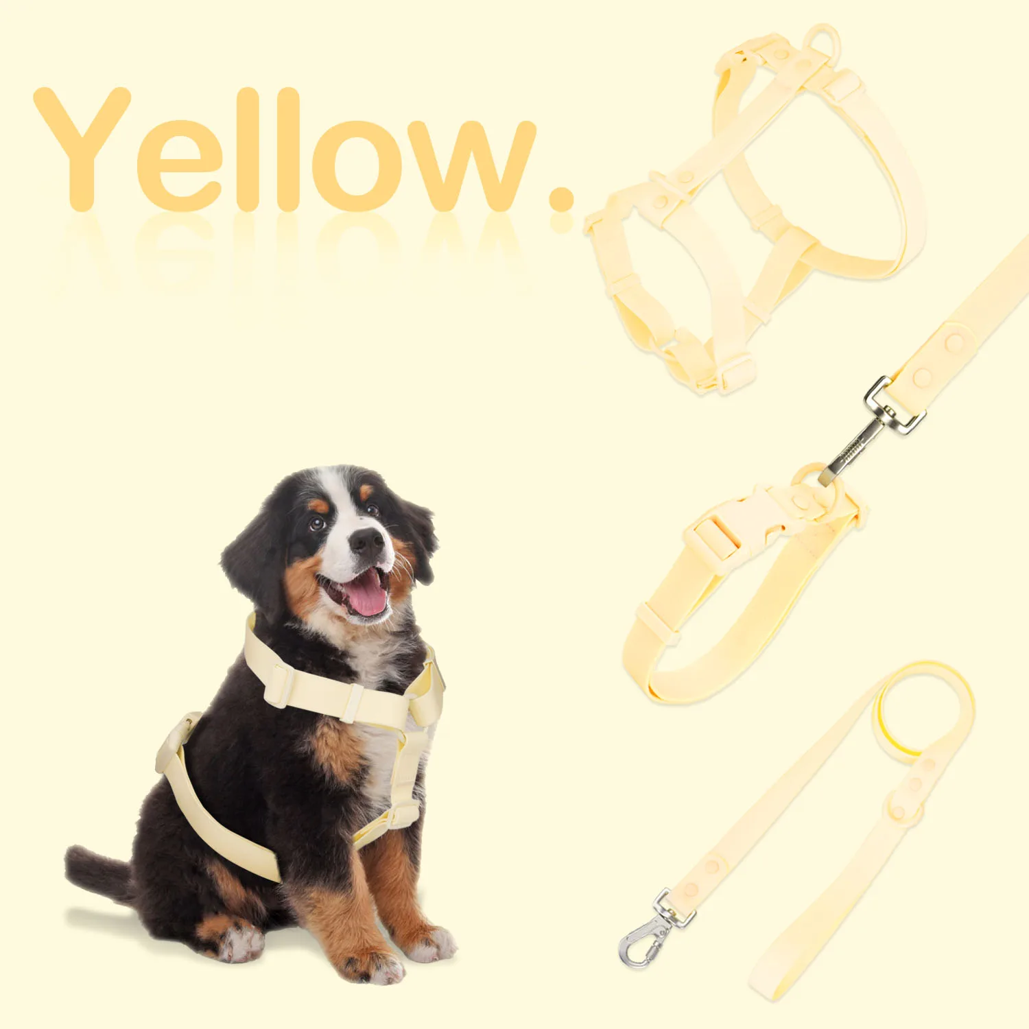 Sunray Mascota New 2024 Manufacturer Custom Logo Waterproof Pvc Pet Dog