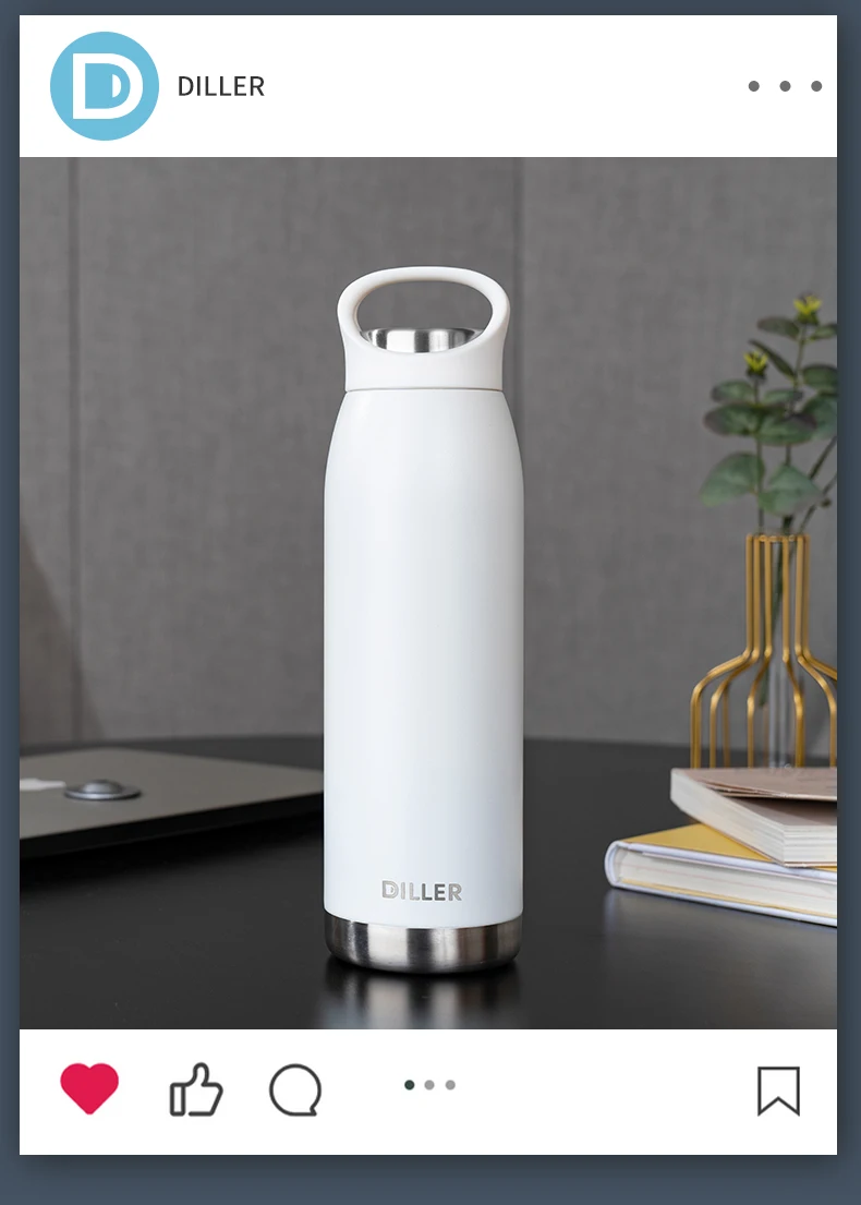 Diller's Double Wall Vacuum Insulated Stainless Steel Water