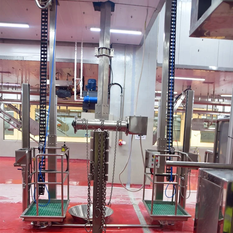 Cow slaughterhouse with meat processing and boning machines